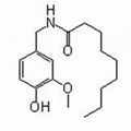 Synthetic capsaicin（2444-46-4）