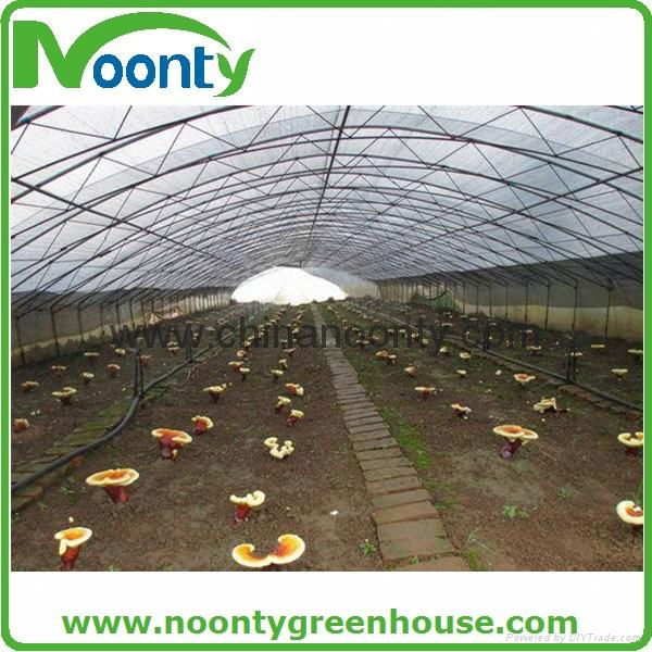 Agriculture Farm Greenhouse 4