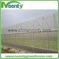 Farm Multi-spans greenhouse 1