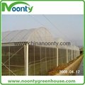 Farm Multi-spans greenhouse 4