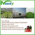 Farm Multi-spans greenhouse 6