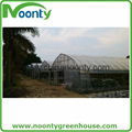 commercial greenhouse 1