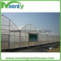 commercial greenhouse 2
