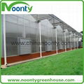 Gothic Type Polycarbonate Greenhouse 2