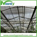 Gothic Type Polycarbonate Greenhouse 4