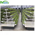 Agriculture Hydroponics System