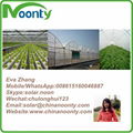 Agriculture Hydroponics System