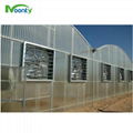 Polycarbonate（PC） Covering Multi span greenhouse 