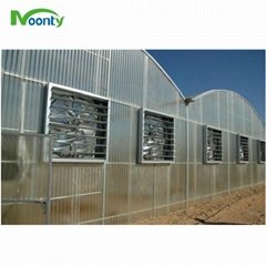 Polycarbonate（PC） Covering Multi span greenhouse 