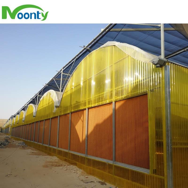 Polycarbonate（PC） Covering Multi span greenhouse  3