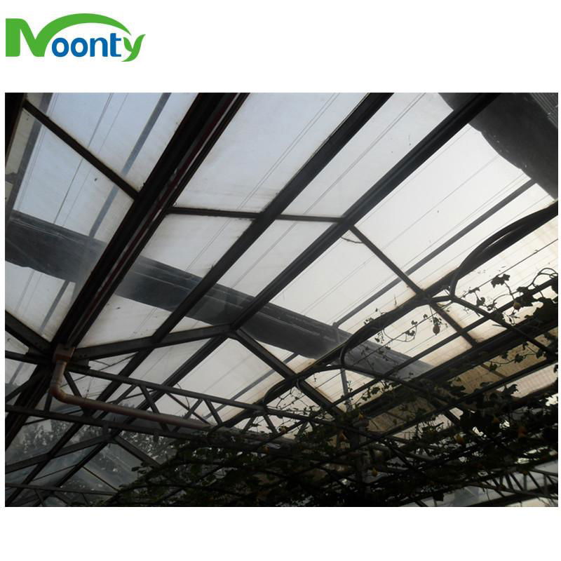 Polycarbonate（PC） Covering Multi span greenhouse  5