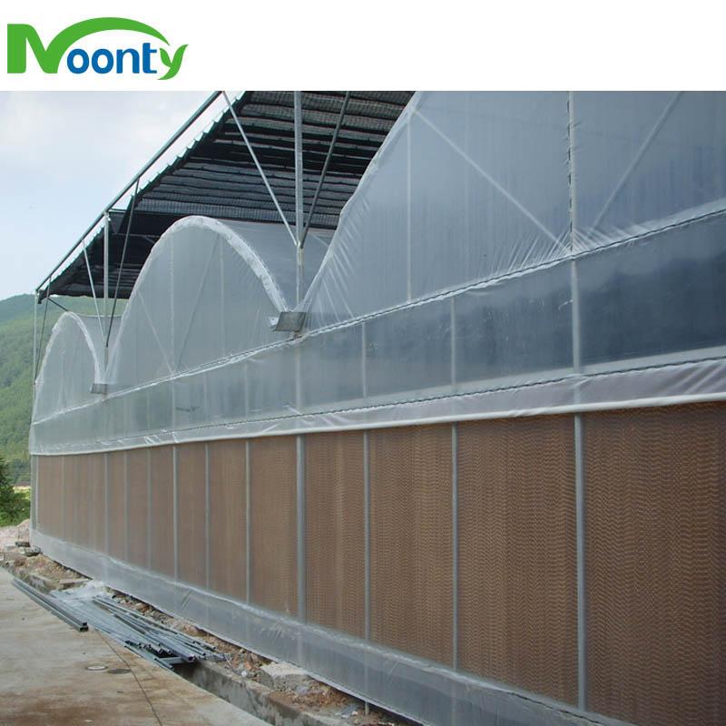 Plastic Film Cover Multi-span greenhouse