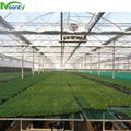 Plastic Film Cover Multi-span greenhouse 2