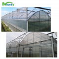 Plastic Film Cover Multi-span greenhouse 3