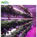 Vertical Farming Grow Container