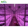 Vertical Farming Grow Container  2