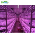 Vertical Farming Grow Container 