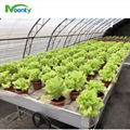 Aluminum Rolling Benches Growing Tebles for Commercial Planting Grow Net Support 1