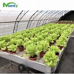 Aluminum Rolling Benches Growing Tebles for Commercial Planting Grow Net Support