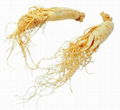 Ginseng Extract 1