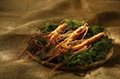 Ginseng Extract 4