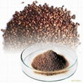 Grape Seed Extract