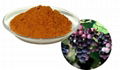 Grape Seed Extract 2