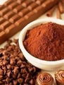 Cocoa extract 2