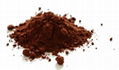 Cocoa extract