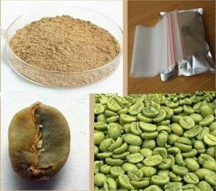 Green Coffee bean extract