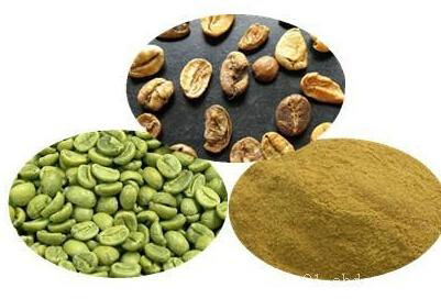 Green Coffee bean extract 3