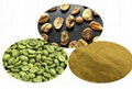 Green Coffee bean extract 3