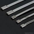 Stainless Steel Cable Ties- Ladder Multi-Lock Uncoated Ties 3