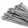 Stainless Steel Cable Ties, Set of 10,