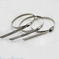 Stainless Steel Cable Ties, Set of 10,