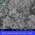 High Purity Antibacterial Ag Silver