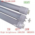 LED T8 TUBE 1200MM 1