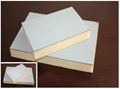 sandwich panel 1