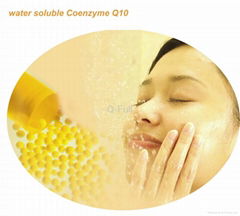 Coenzyme Q10 40% CWS Powder     