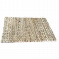 water hyacinth carpet