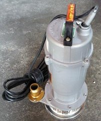 A small submersible pump