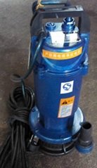 Household electric submersible pump