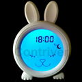 Sleep Trainer with Clock 2