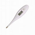 TM02    Digital Clinical thermometer 1