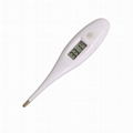 TM02   electronic thermometer
