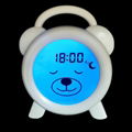 BL10B  Sleep trainer