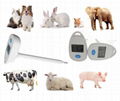 VM02  Veterinar digital  thermometer 3