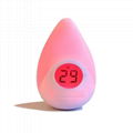 BL501  Night light with Thermometer