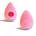 BL501  Night light with Thermometer 8