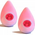 BL501  Night light with Thermometer 17
